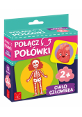Gra Połącz Połówki Ciało Człowieka