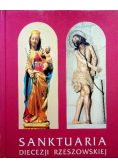Sanktuaria Diecezji Rzeszowskiej