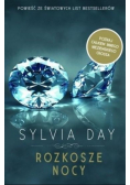 Rozkosze nocy