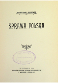 Sprawa Polska, 1910 r.