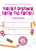 Nauka pisania krok po kroku. Zygzaczki