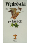 Wędrówki po lasach