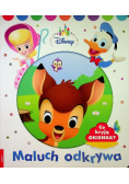 Disney Maluch odkrywa Co kryją okienka