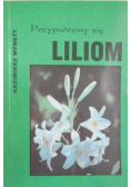 Przypatrzmy się Liliom
