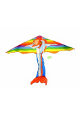 Latawiec delfin