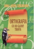 Ortografia do głowy trafia