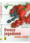 Mój ogród Rośliny szybko rosnące / Rośliny pnące / Owoce jagodowe