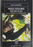 Przez dziurkę od klucza. 30 lat obserwacji szympansów