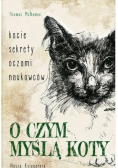 O czym myślą koty Kocie sekrety oczami naukowców