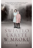 Światło ukryte w mroku