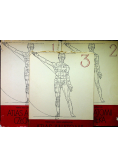 Atlas anatomii człowieka Tom I do III