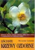 Liściaste krzewy ozdobne