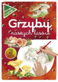 Poznaję i rysuję Grzyby naszych lasów
