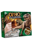 Wykopaliska paleontolog dinozaur
