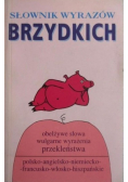 Słownik wyrazów brzydkich