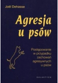 Agresja u psów
