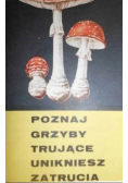 Poznaj grzyby trujące unikniesz zatrucia