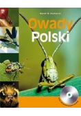 Owady Polski