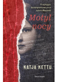 Motyl nocy