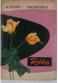 Róże