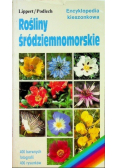 Rośliny śródziemnomorskie