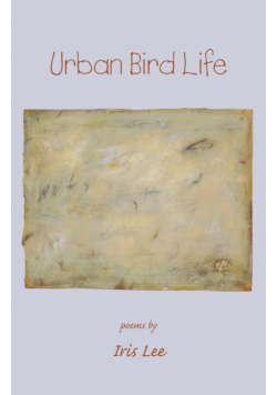 Urban Bird Life