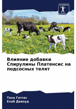 Влияние добавки Спирулины Платенсис на подсосных телят