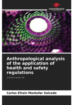 Anthropological analysis of the application of health and safety regulations