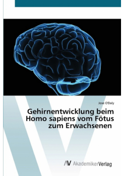Gehirnentwicklung beim Homo sapiens vom Fötus zum Erwachsenen