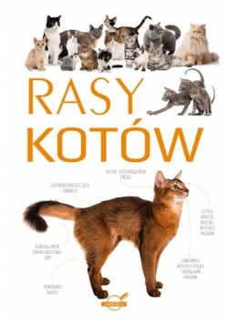 Rasy kotów