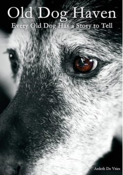 Old Dog Haven