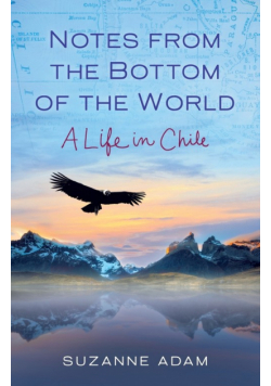 Notes from the Bottom of the World