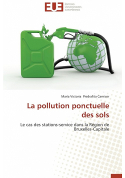 La pollution ponctuelle des sols