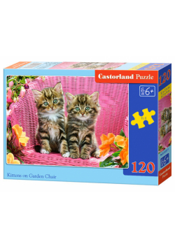 Puzzle Kittens on Garden Chair 120