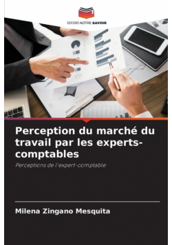 Perception du marché du travail par les experts-comptables