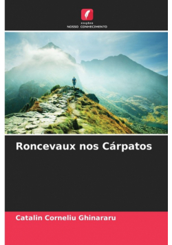 Roncevaux nos Cárpatos