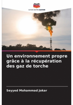 Un environnement propre grâce à la récupération des gaz de torche