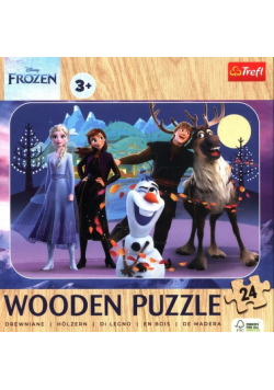 Puzzle drewniane 24 Niesamowita Kraina Lodu