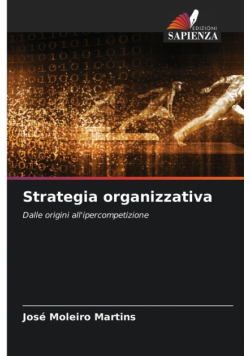Strategia organizzativa
