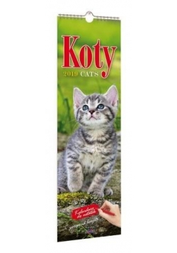Kalendarz 2019 KP-2 Koty AVANTI