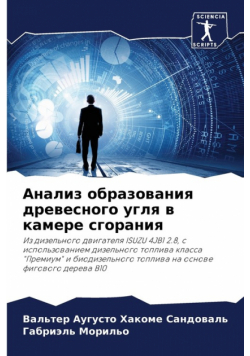 Анализ образования древесного угля в камере сгорания