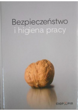 Bezpieczeństwo i higiena pracy