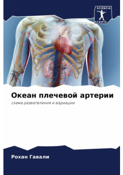 Океан плечевой артерии