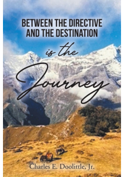 Between the Directive and the Destination is the Journey