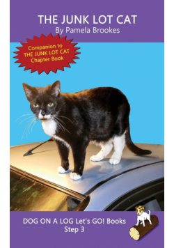 The Junk Lot Cat