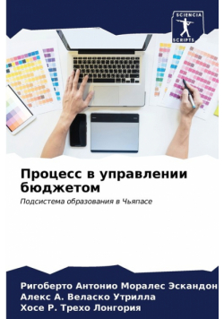 Процесс в управлении бюджетом