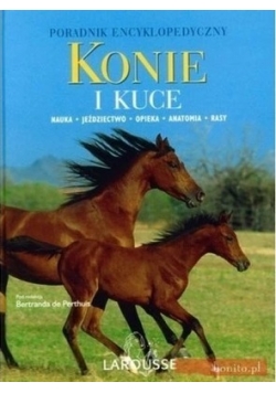 Konie i kuce