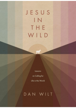 Jesus in the Wild