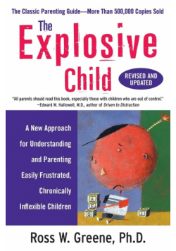Explosive Child, The