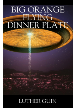 Big Orange Flying Dinner Plate